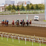 A track in a track in a track. Thoroughbreds running on Polytrack are flanked by hard dirt for harness racing on the inside, and on the outside by the E.P. Taylor Turf Course.