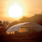 The Neales’ NRCS-funded 1,200-square-foot greenhouse.