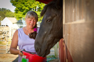Dee Doolittle says horses at Mitchell Farm learn that human touch doesn't mean work anymore.