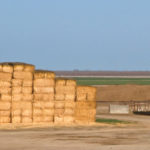 Lakeside’s dairy facility sits on a 1,200-acre farm near Hanford, Calif.