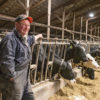 Al has 300 mature milking Holsteins.