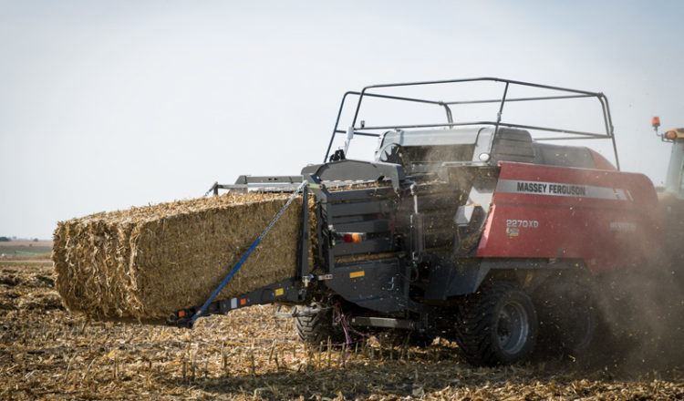 Controlling weeds, harvest schedules and harvesting technique,” says Putnam, “are the three most important factors influencing quality that are mostly under the control of the producer.”