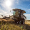 Field Equipment Harvesting Grain In the Sunlight Under a Blue Sky
